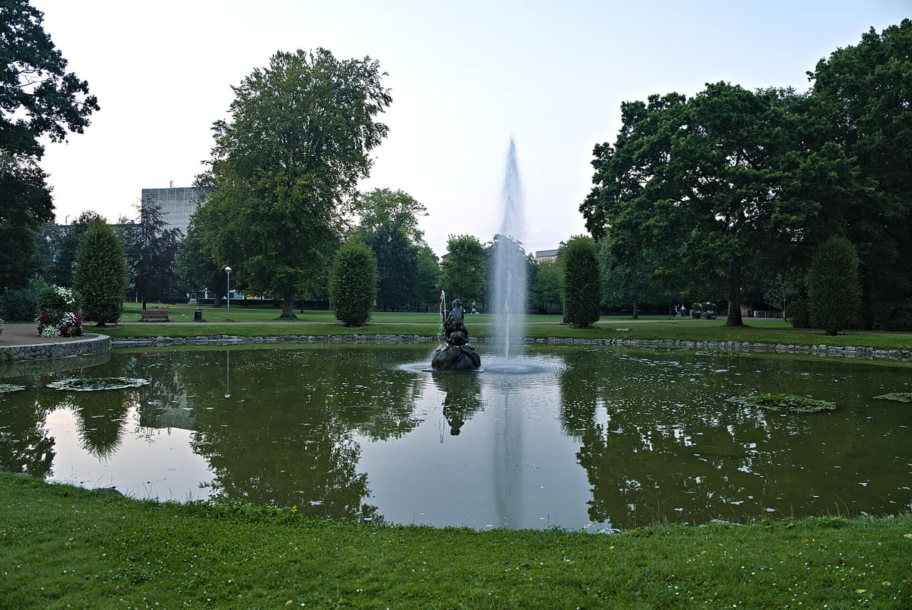 Sti og træer i Kildeparken
