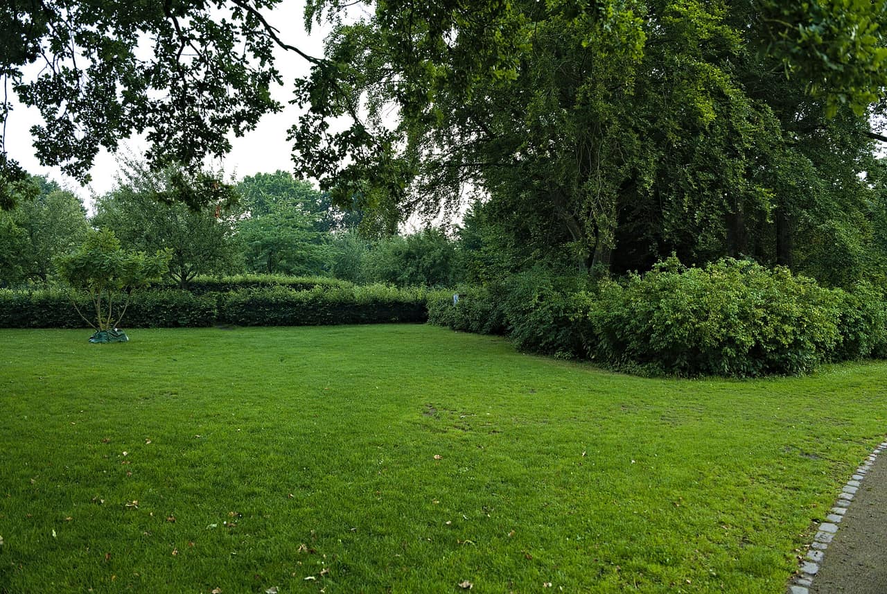 Springvand i Kildeparken