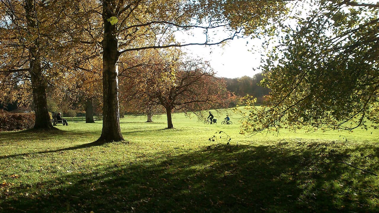 Efterår i Mindeparken