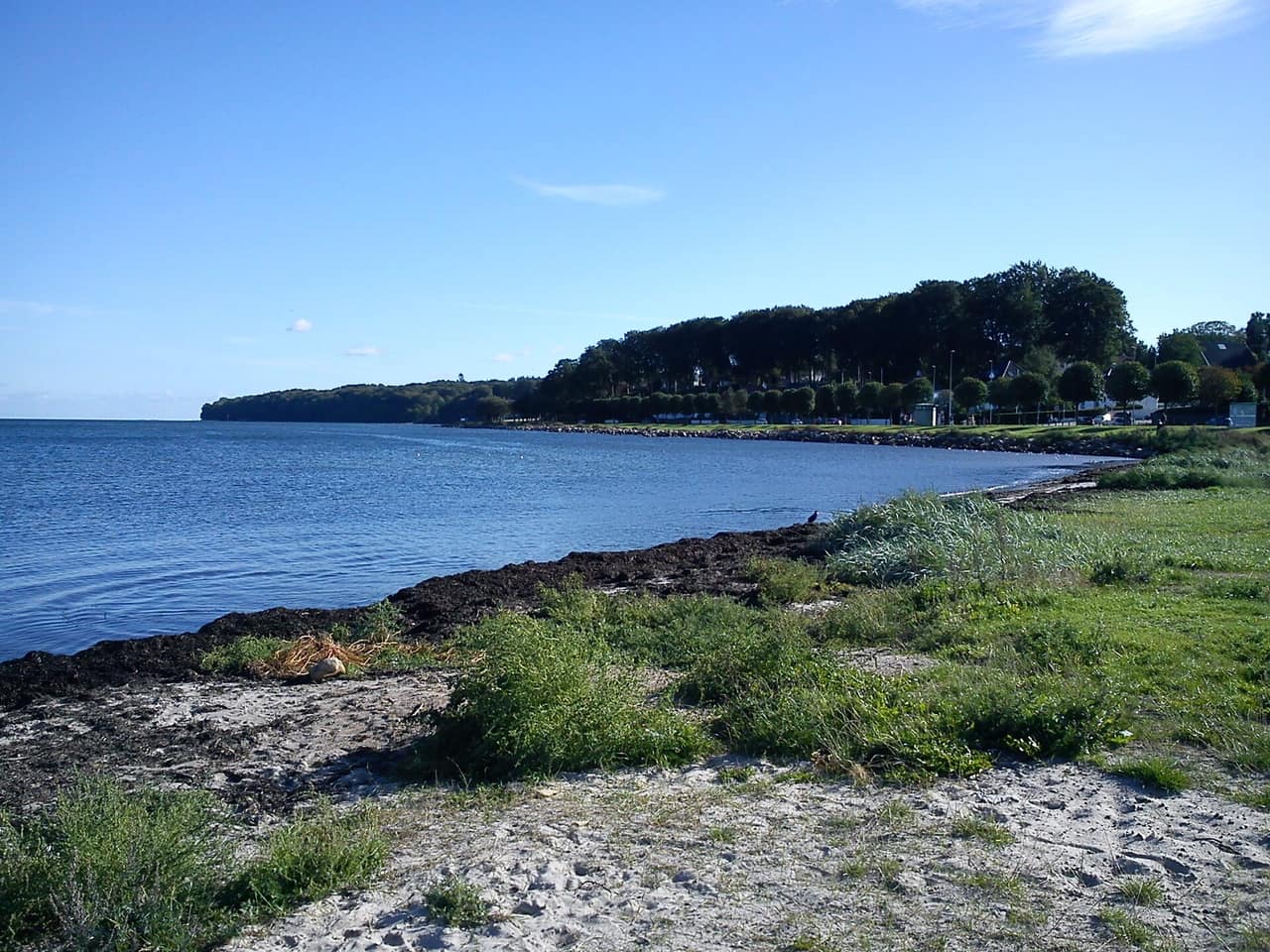 Tangkrogen ved kysten