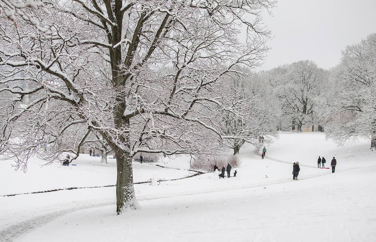 Universitetsparken om vinteren