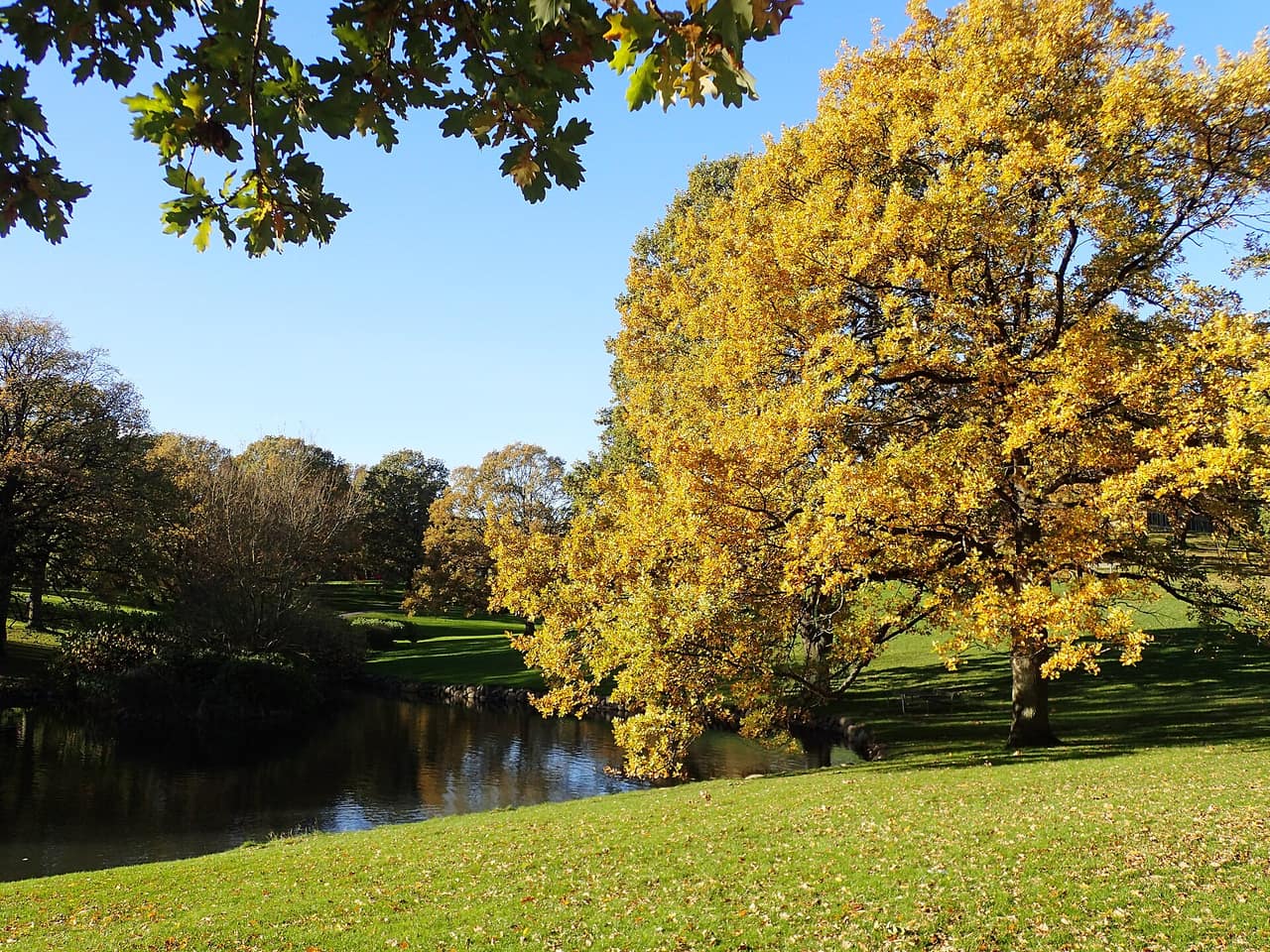 Universitetsparken i Aarhus om efteråret