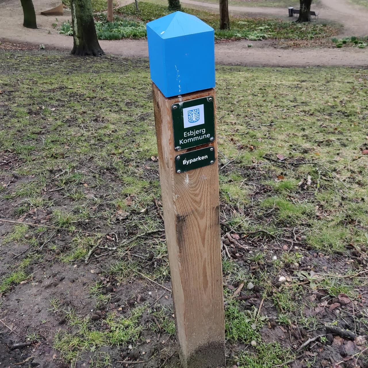 Blomsterbede i Byparken