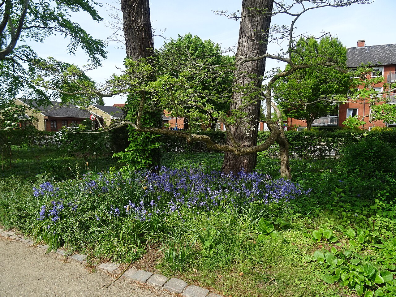 Grønne arealer i Mindeparken