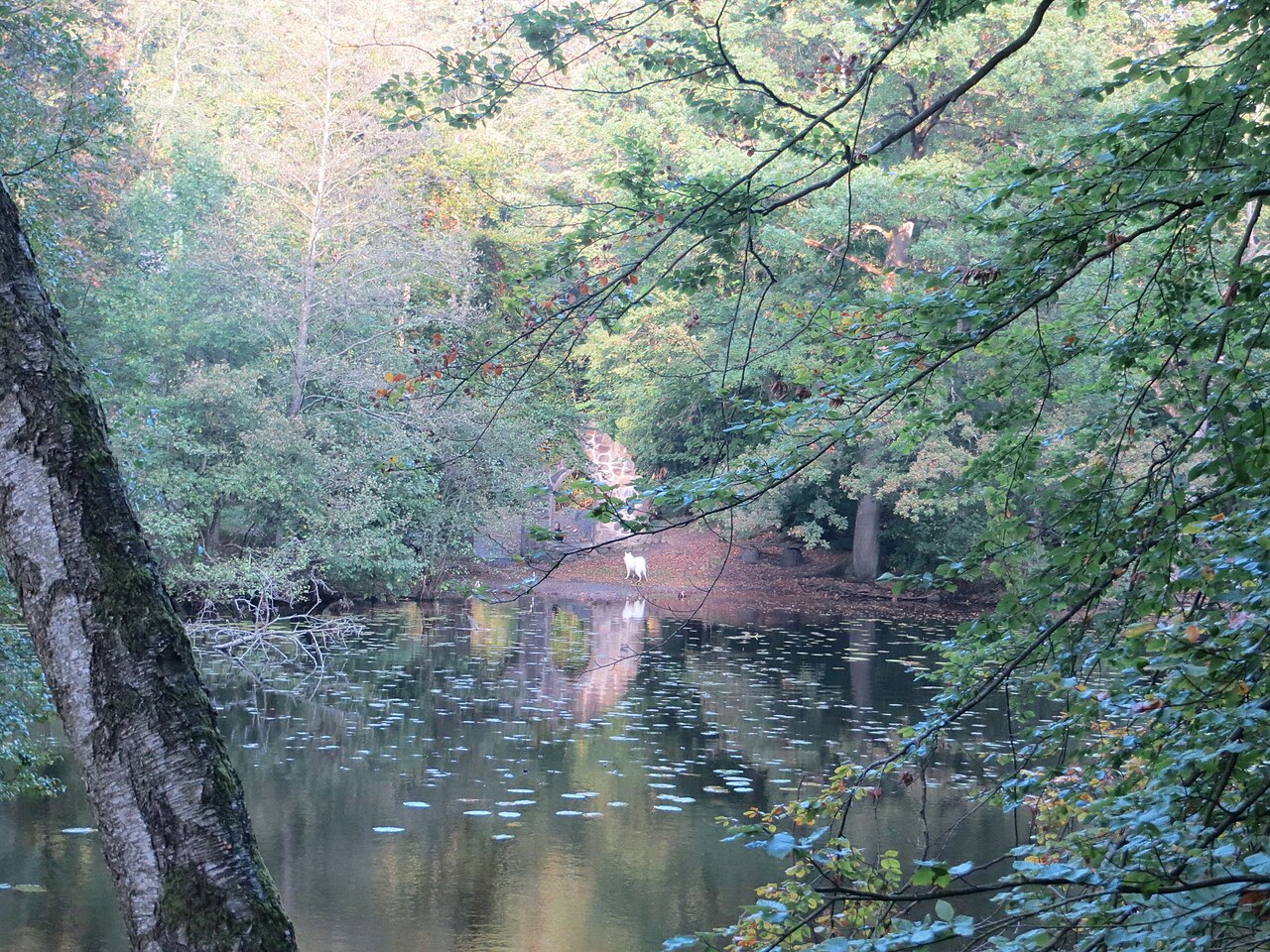 Sø med ø i Præstevang, Hillerød