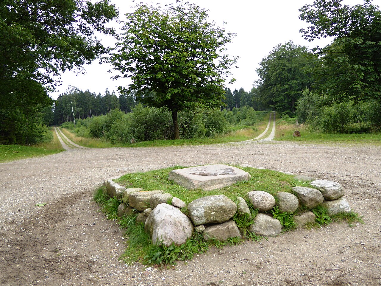 Skovvej i Store Dyrehave ved Hillerød