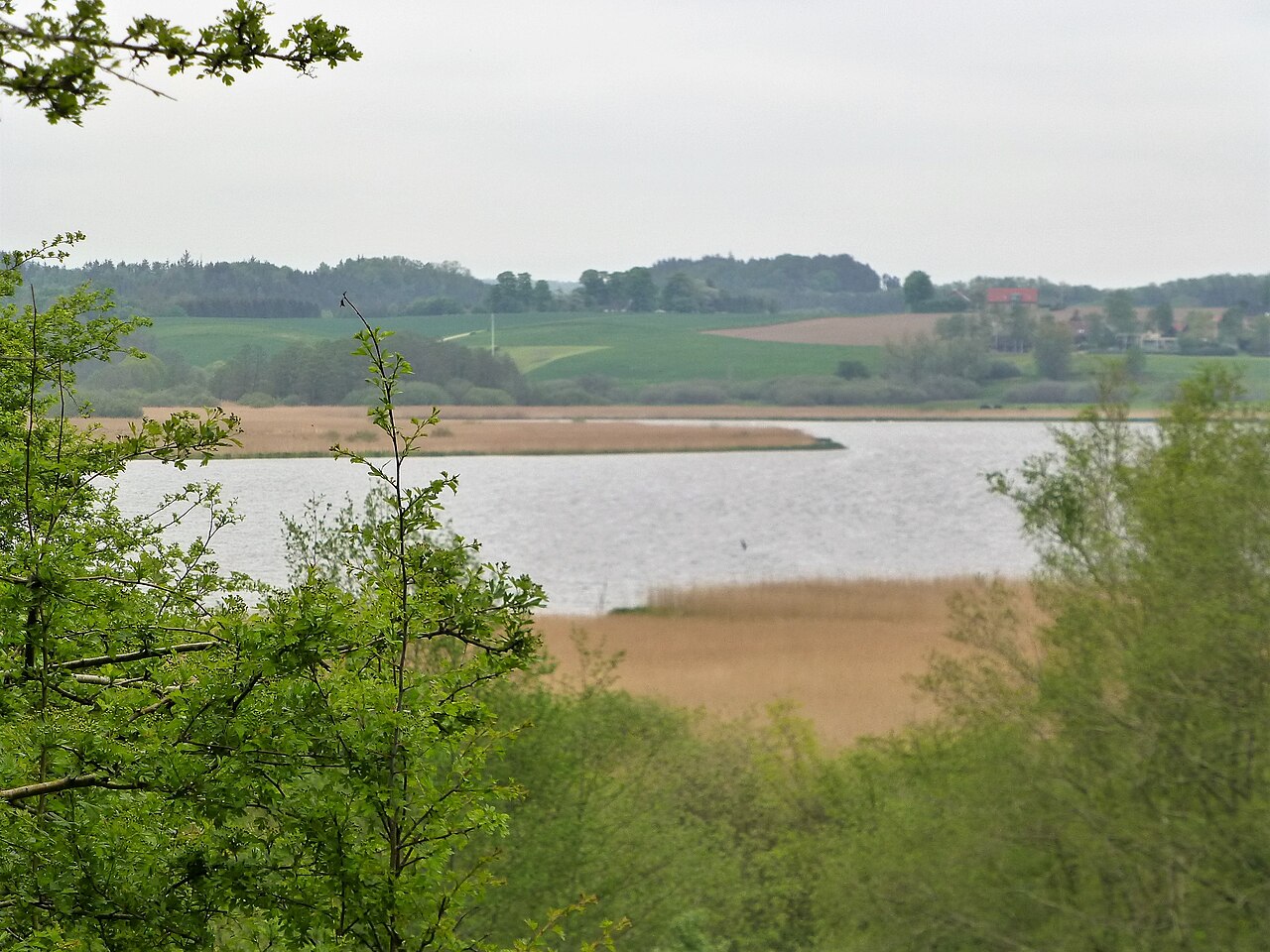 Sø og enge ved Nørrestrand