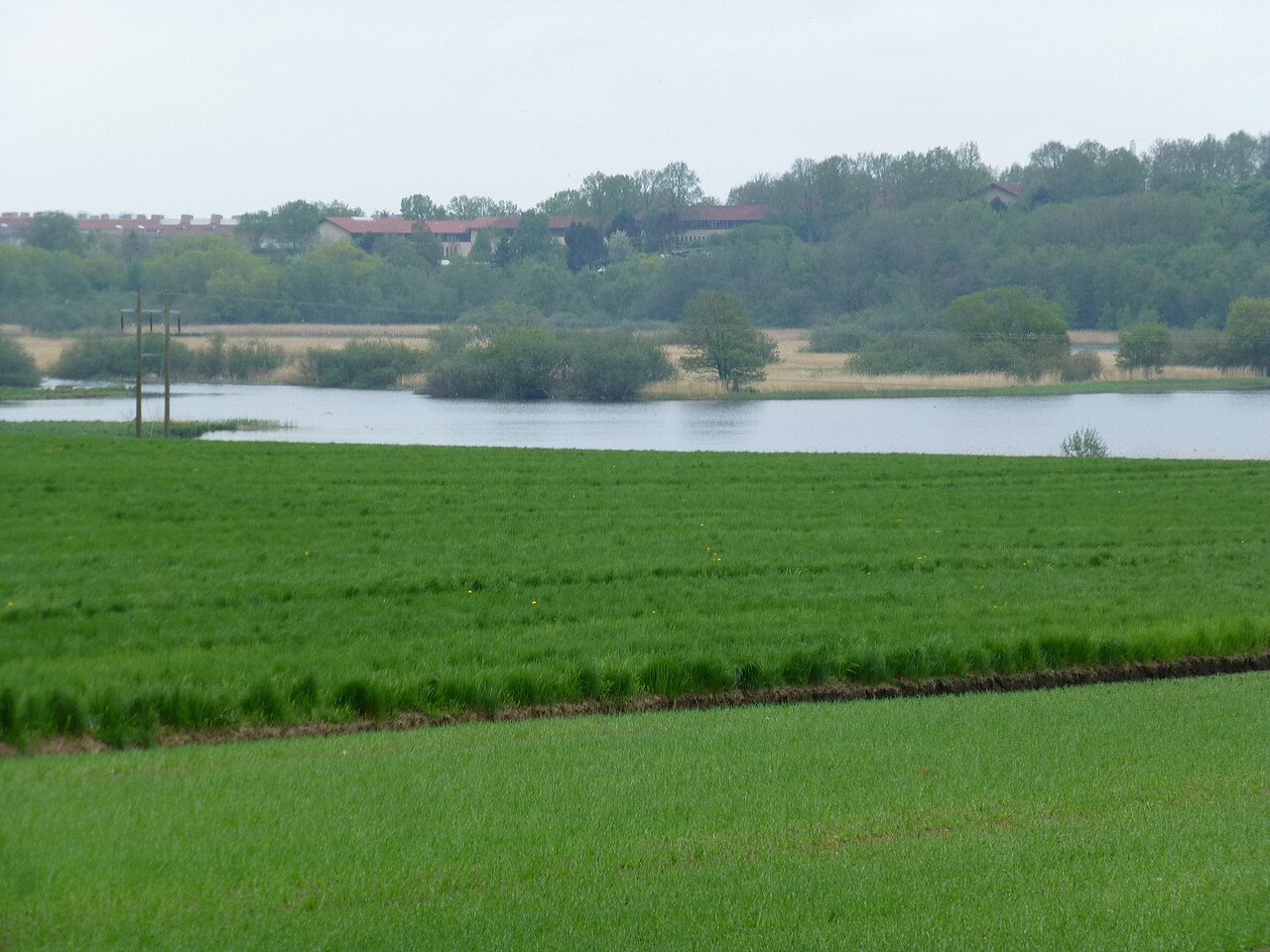 Naturområdet Nørrestrand ved Horsens