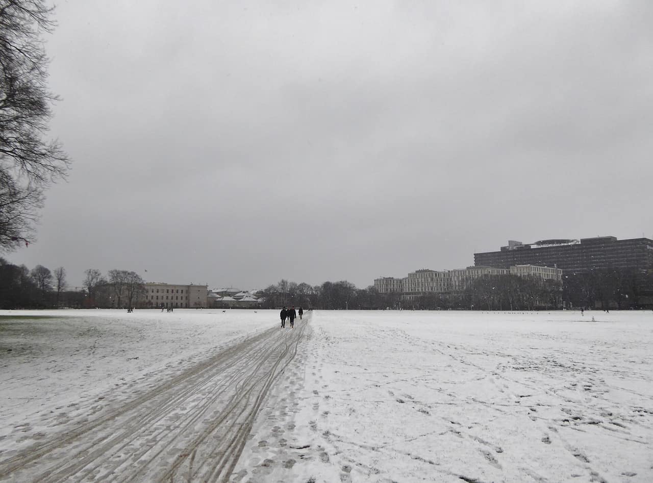 Åbne græsarealer i Fælledparken