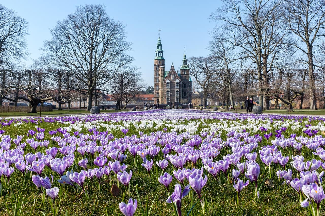 Allé og grønne arealer i Kongens Have ved Rosenborg Slot