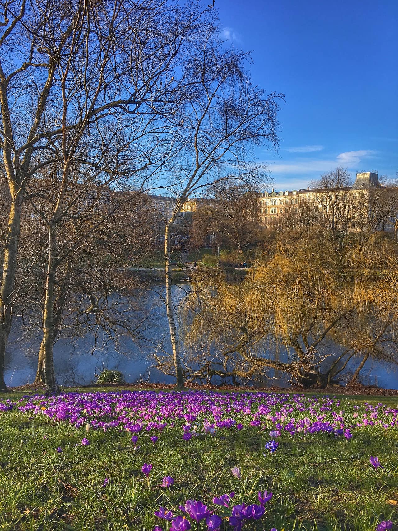 Sti langs søen i Ørstedsparken