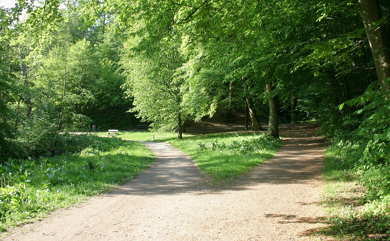 Marielundskoven ved Kolding
