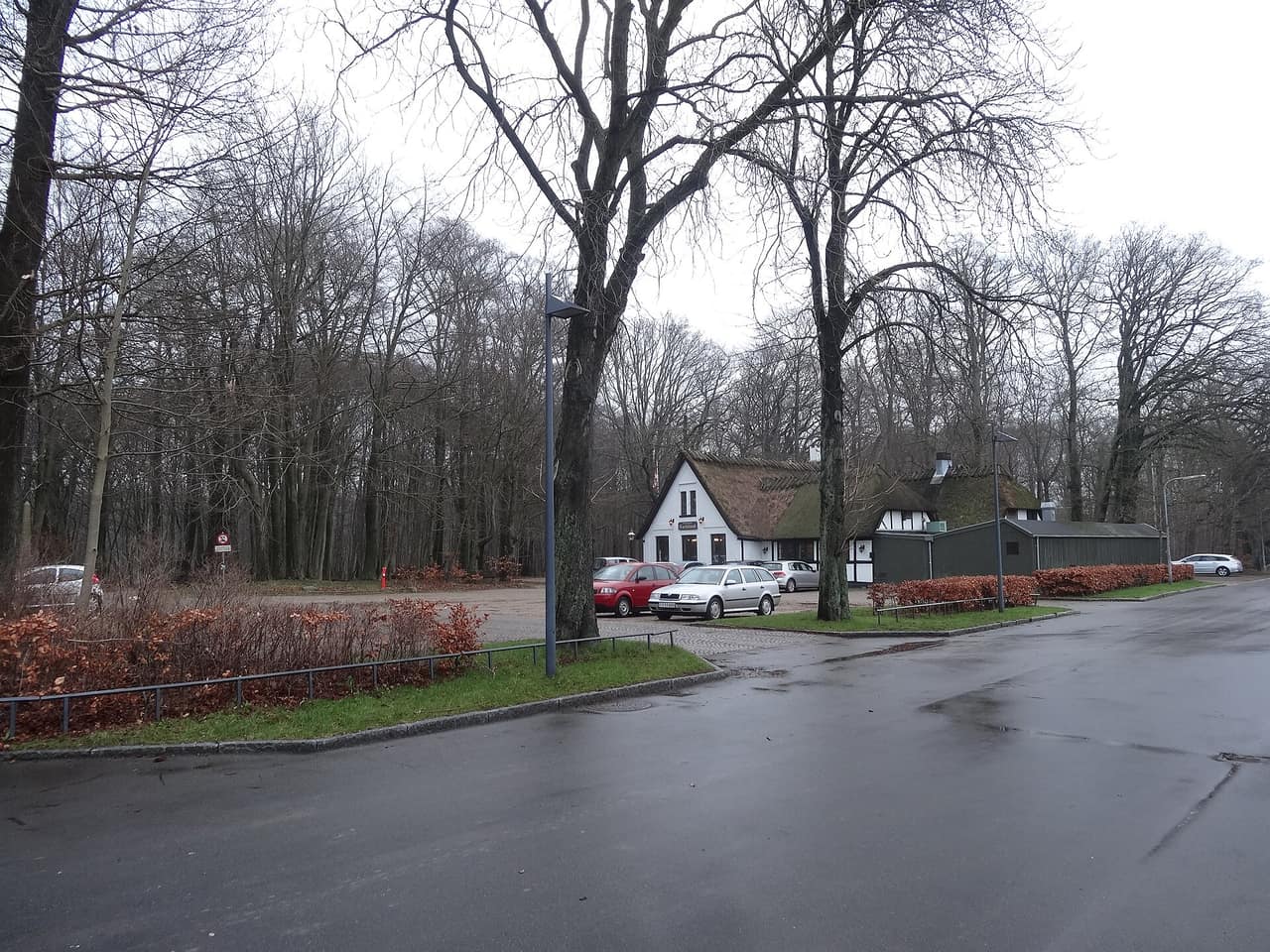 Bøgeskov i Fruens Bøge ved Odense