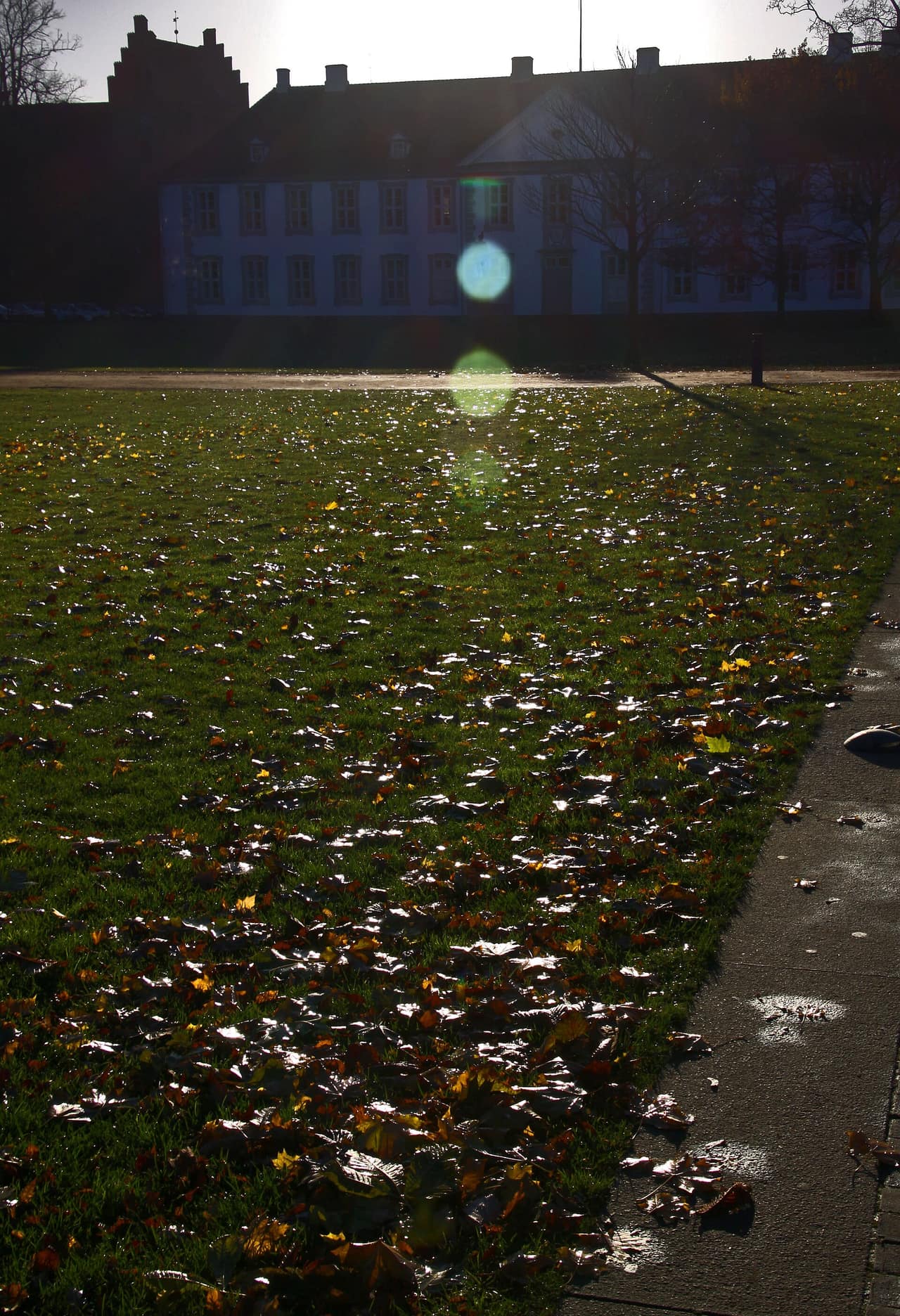 Odense Slot ved Kongens Have