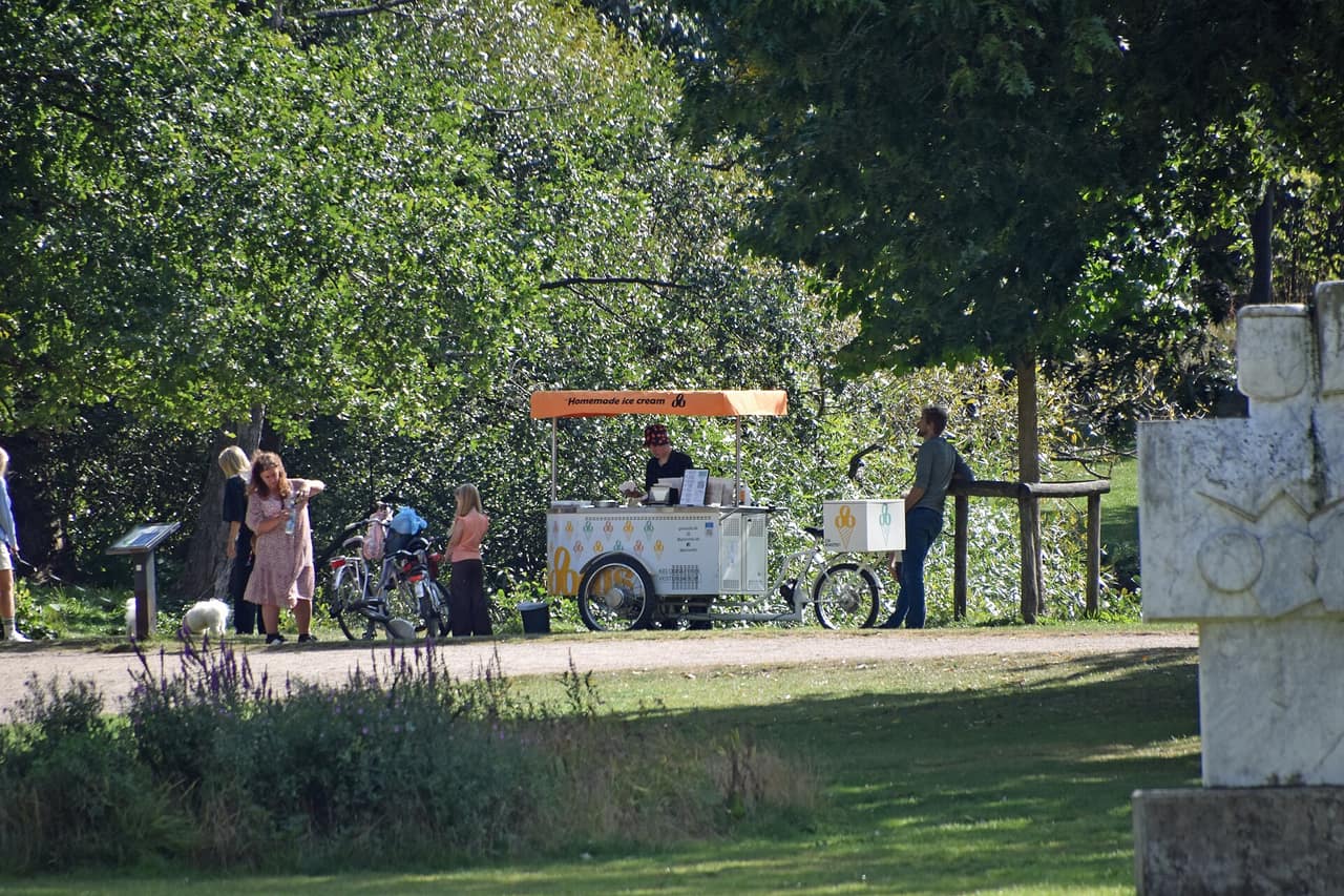 Sommerdag med grønne træer og liv i Munke Mose i Odense