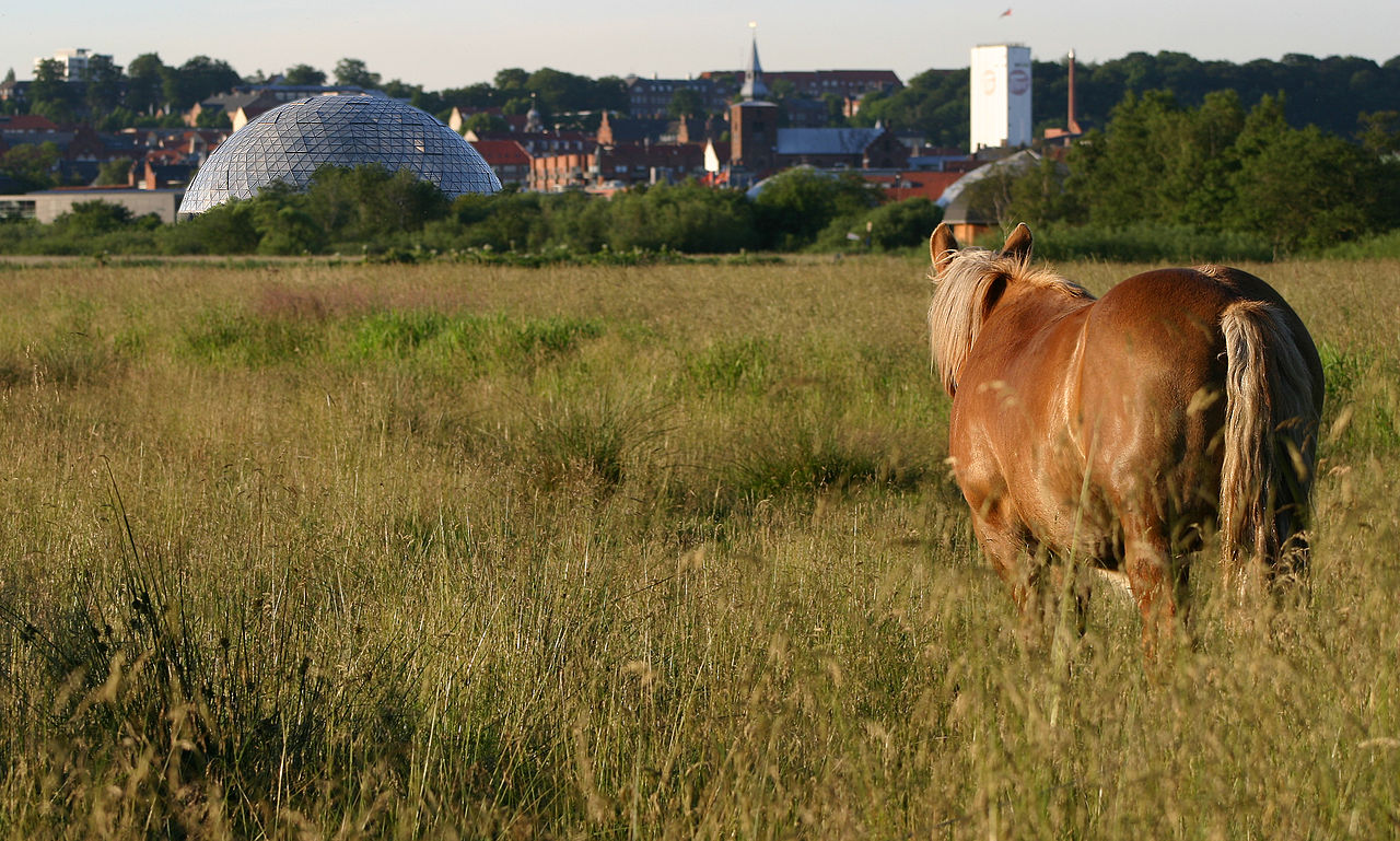 Vorup Enge ved Gudenåen i Randers