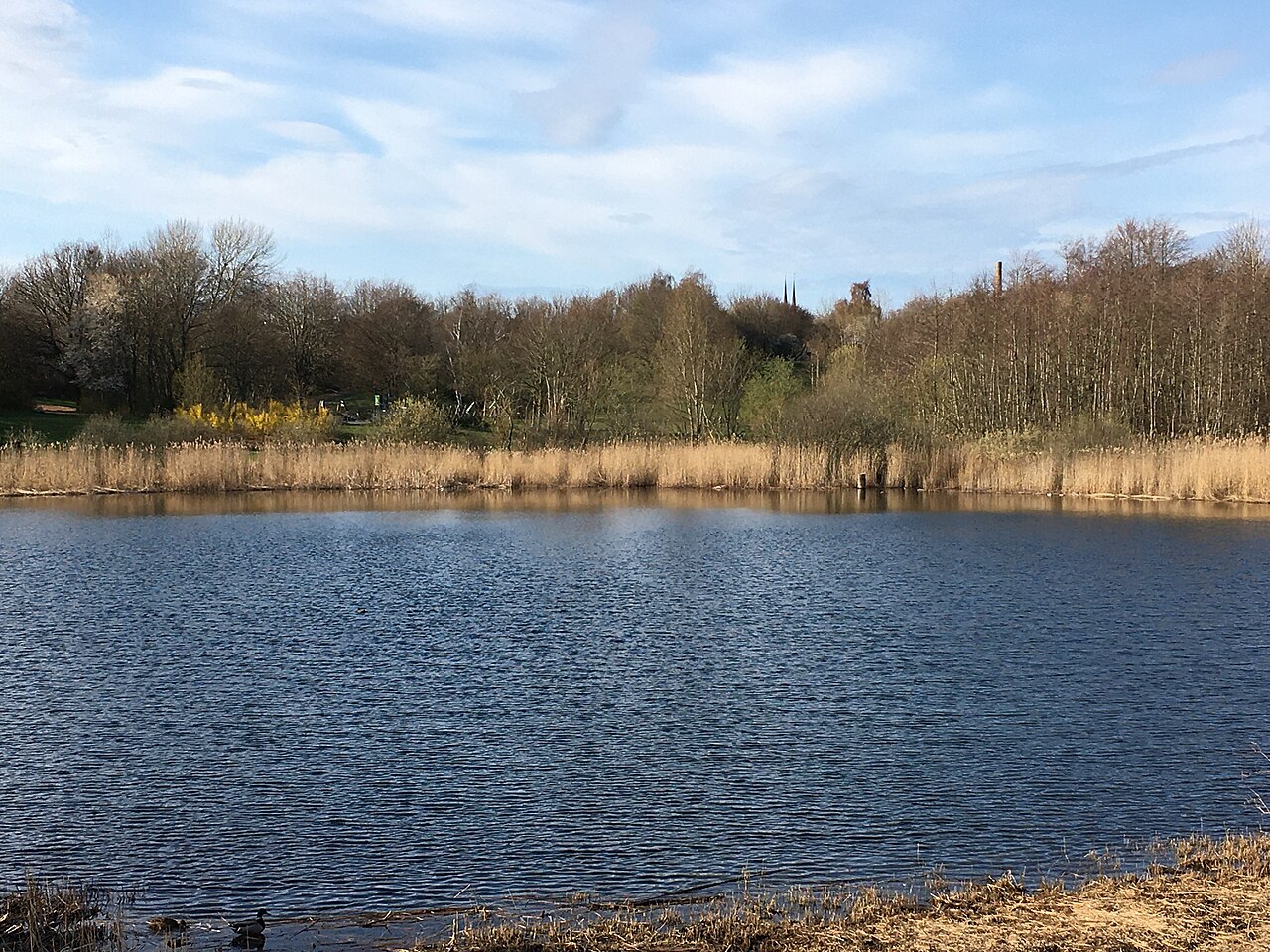 Roskilde Ring Park