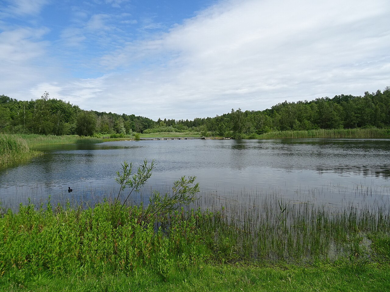 Fiskesø i Hedeland