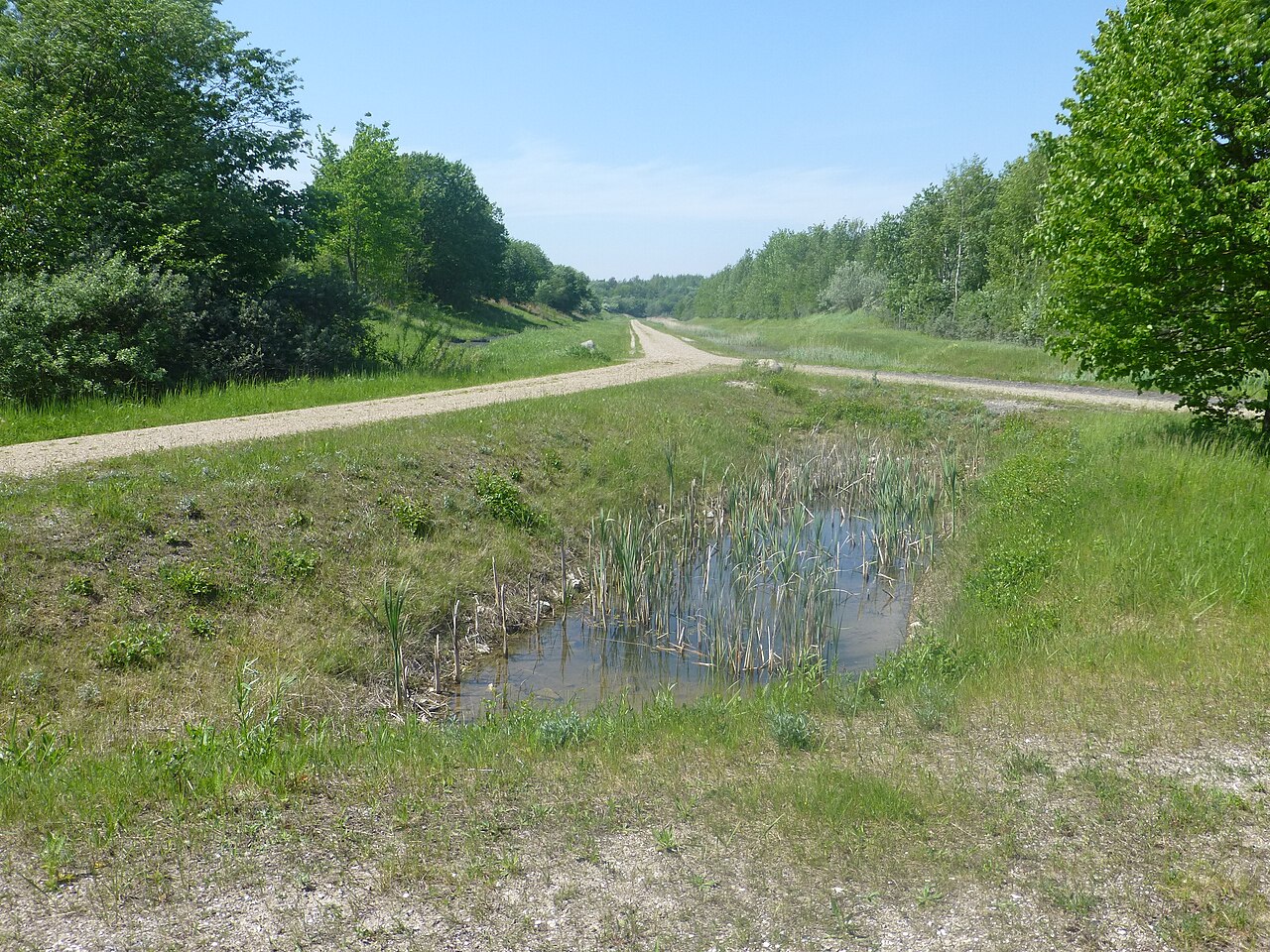 Sø i naturparken Hedeland