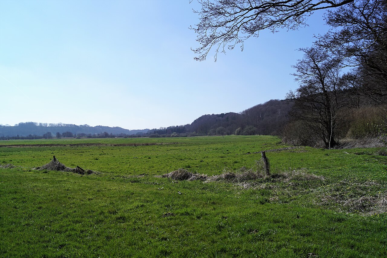Vejle Ådal med den snoede Vejle Å