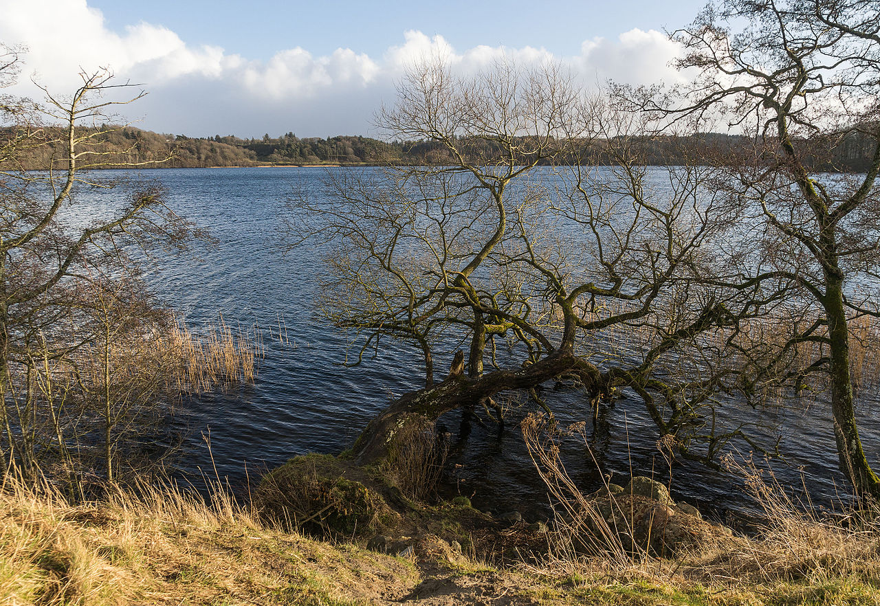 Sti langs Hald Sø