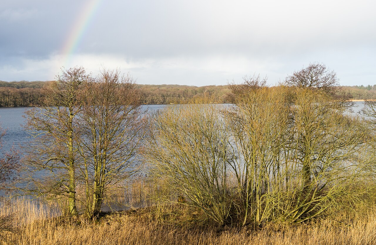 Hald Sø i landskabet ved Viborg